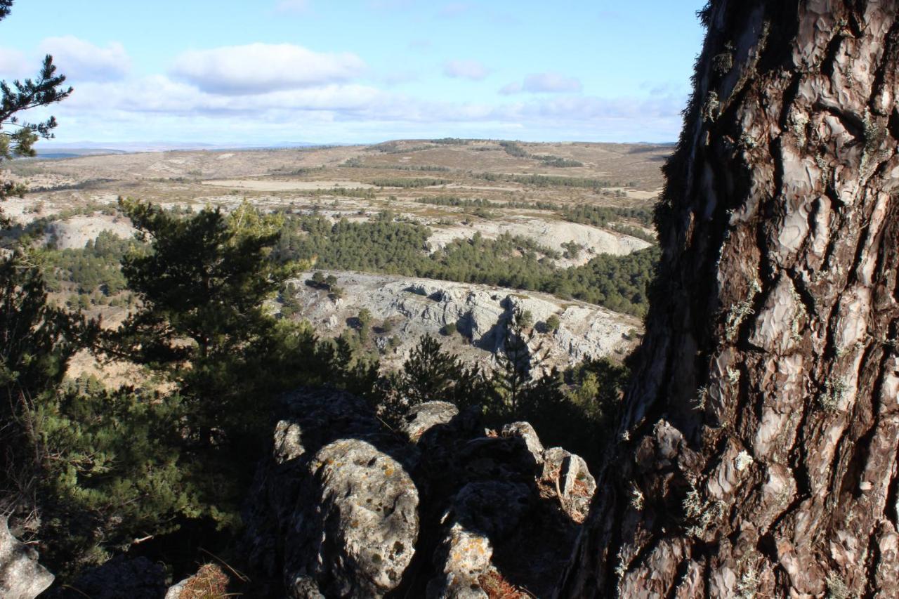 Casas Rurales Chon Alto Tajo เปราเลโคส เด ลาสตรูชัส ภายนอก รูปภาพ